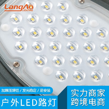 LO-SLYZ06-100W
