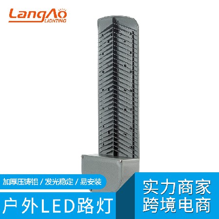 LO-SLYZ06-100W